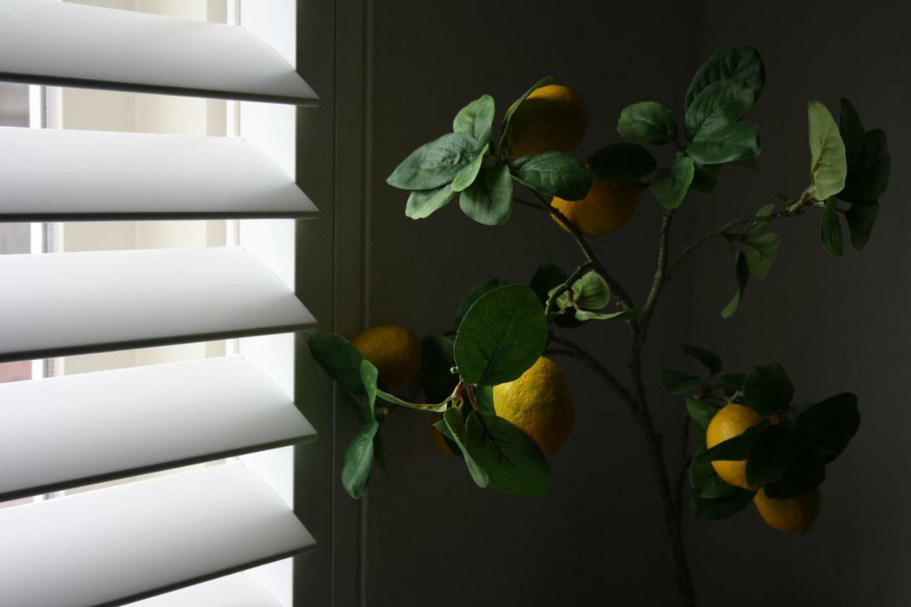 Zandvoort Studio Luaran gambar